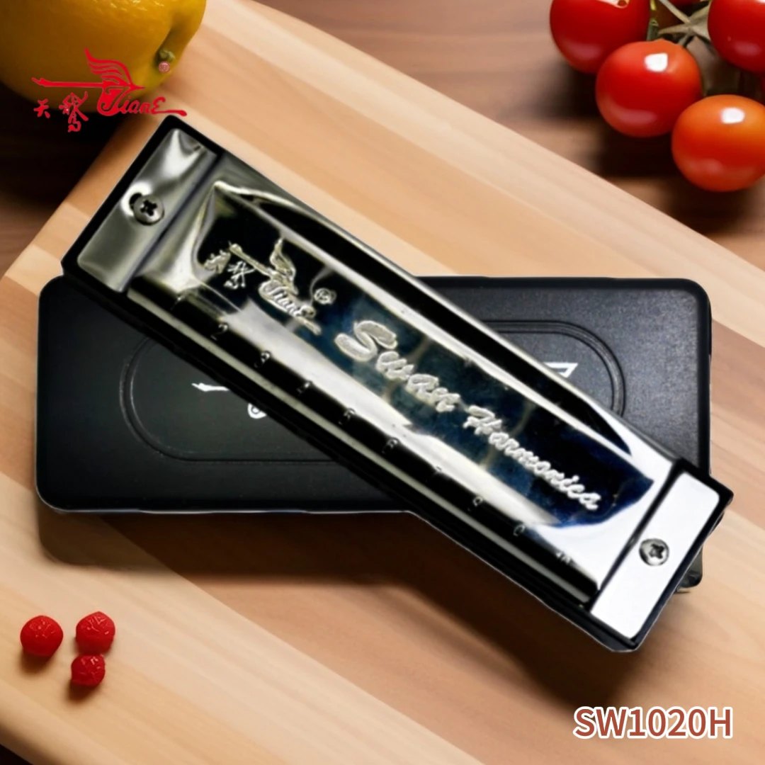 天鹅口琴演奏10孔布鲁斯高级口琴专业C调20音纯黄铜面板音板塑盒