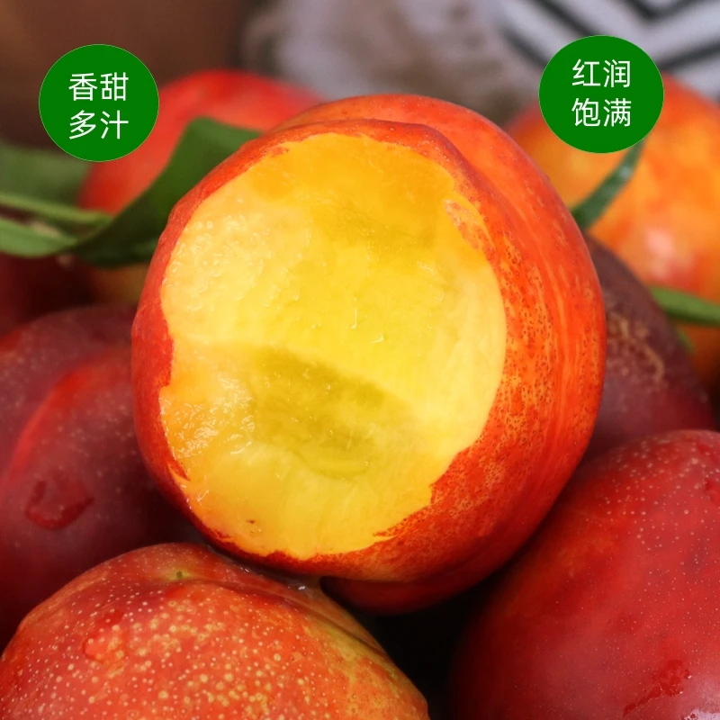 正宗黄心油桃脆桃新鲜水果爽口现摘现发五斤整箱装包邮露天多汁