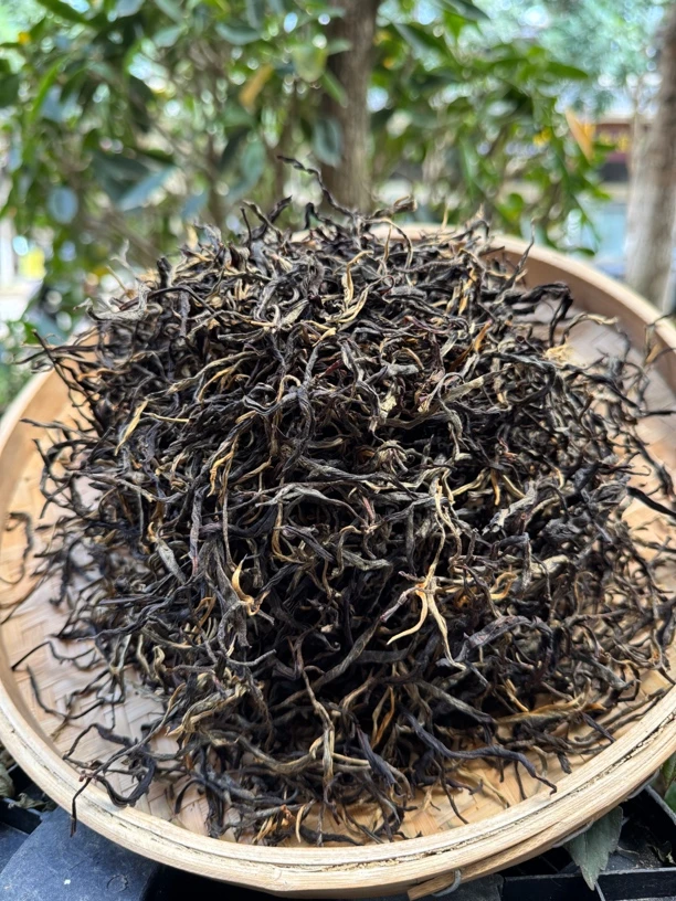 班章村50号，2024年春茶云南红茶晒红，100g