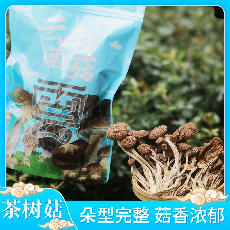 【雲巅源府】云南菌菇茶树菇90g/袋*2袋