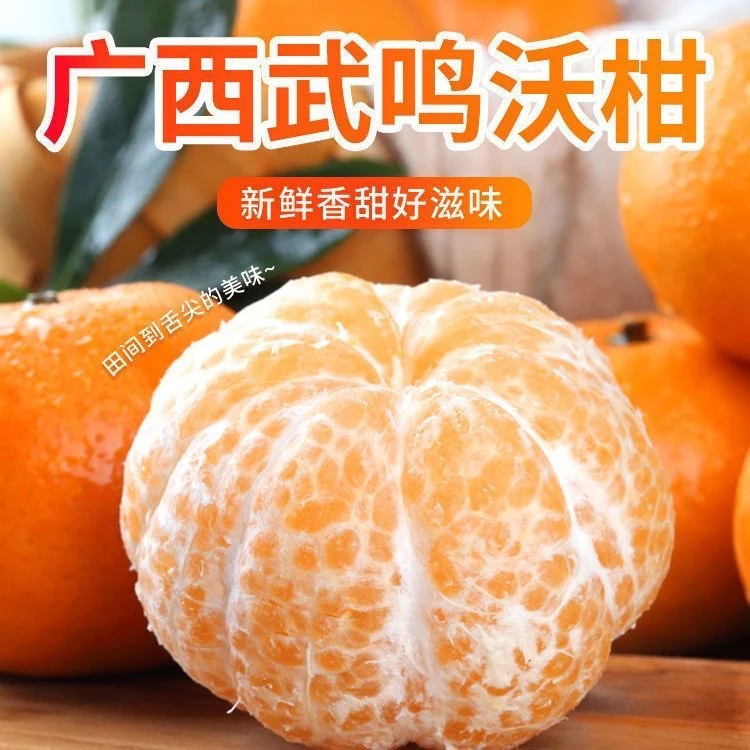广西武鸣沃柑新鲜采摘当季水果皮薄多汁橘爽口5~10斤装坏果包赔