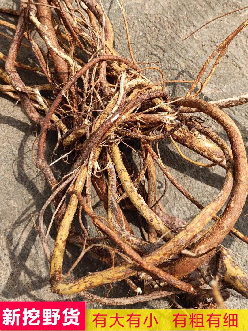 粤北山区阳山晒干野生五指毛桃根