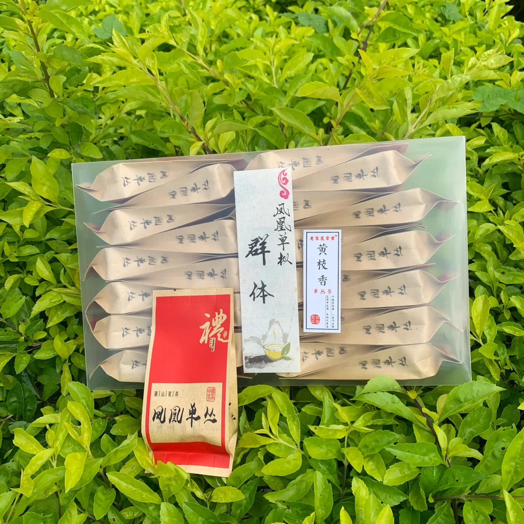 2022年浓香【正宗老枞黄枝香】凤凰乌龙茶 回甘栀子花香有茶底高货
