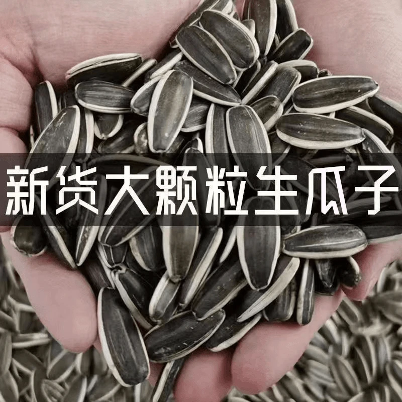 二斤生葵花瓜子颗粒饱满袋装新鲜香脆瓜子葵花子休闲食品小零食