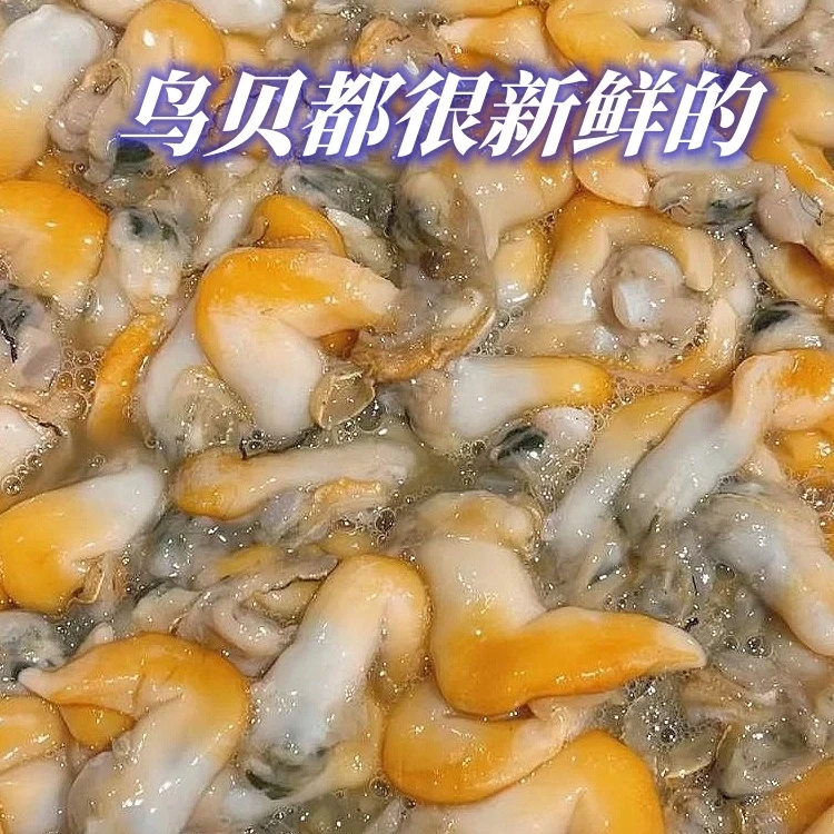 【隋隋家】鸟贝肉鲜活人工开贝400g*3渤海湾小船鲜捕捞不带壳顺丰