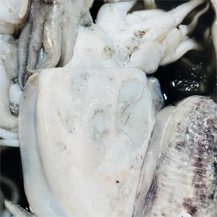 【隋隋家】超大墨鱼鱿鱼海捕海鲜鲜活铁板鱿鱼新鲜乌贼顺丰包邮