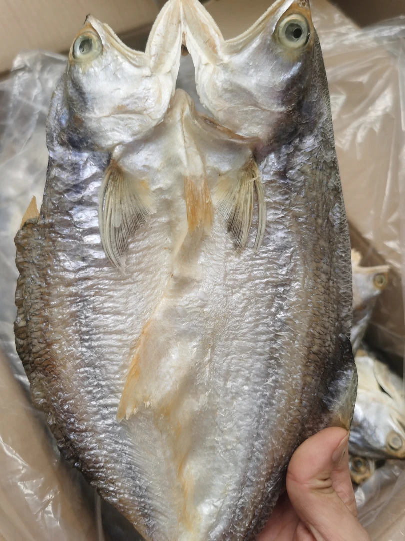 湛江渔民自晒马友鱼 鱼干 马友鱼干 午鱼干 煎蒸焖煮