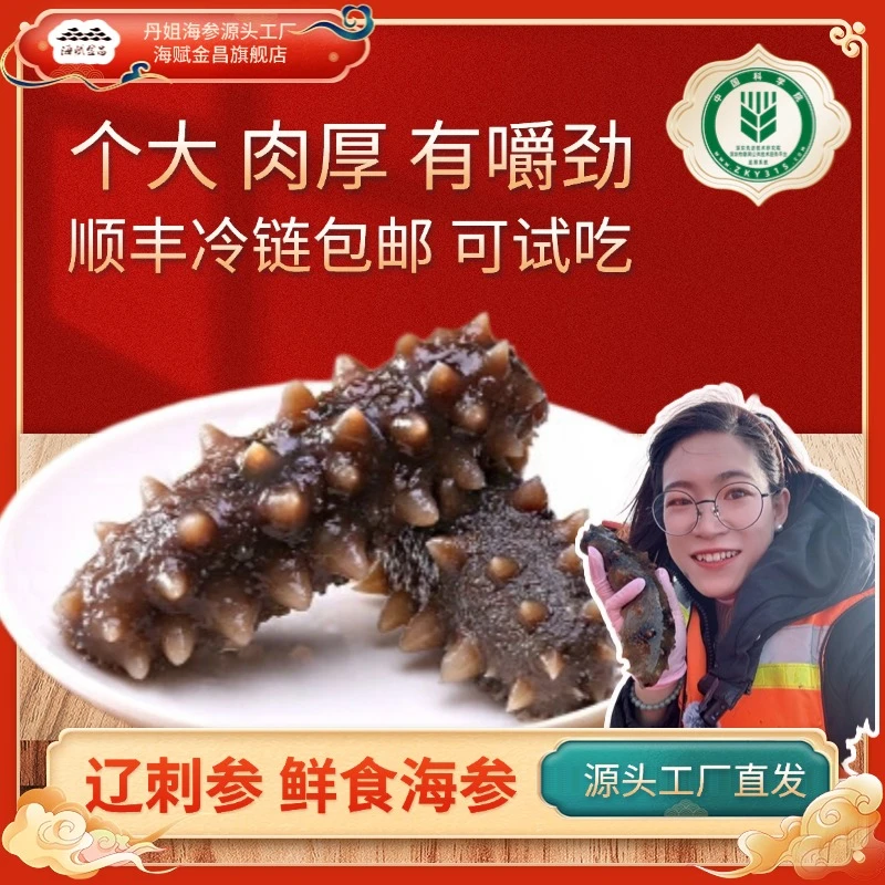 【鲜食海参】大连深海底播辽刺参5-7个头 2斤装 肉质厚实 口感Q弹