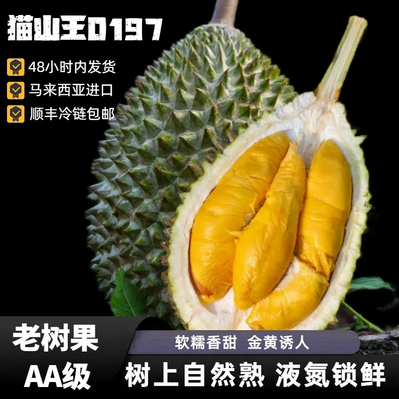 艾沫果AA级马来西亚树熟D197榴莲液氮锁鲜软糯香甜顺丰冷链包邮