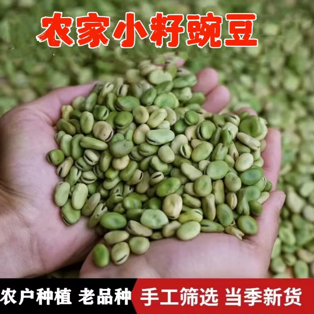 湖北农家小籽豌豆蚕豆枯豌豆新货新鲜上市颗粒饱满可炒油盐豌豆