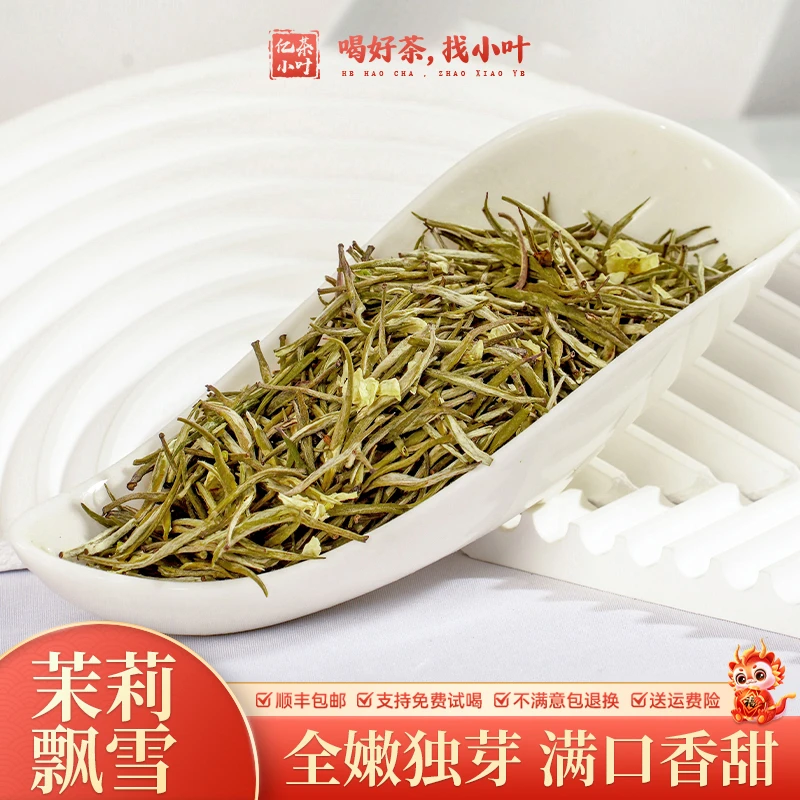 2024年新茶茉莉飘雪茉莉花窨制浓香型高山茉莉花茶冷泡茶叶