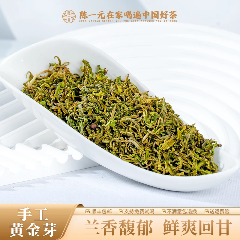 2024年手工黄金芽鲜爽耐泡豆香浓郁精选绿茶