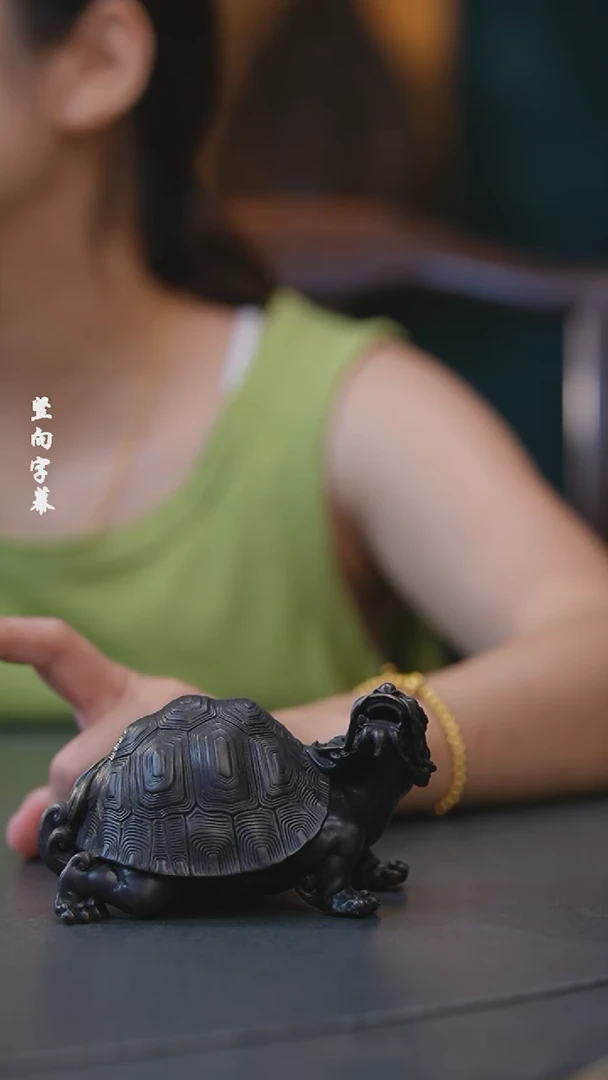 【闪购商品】龙龟-2