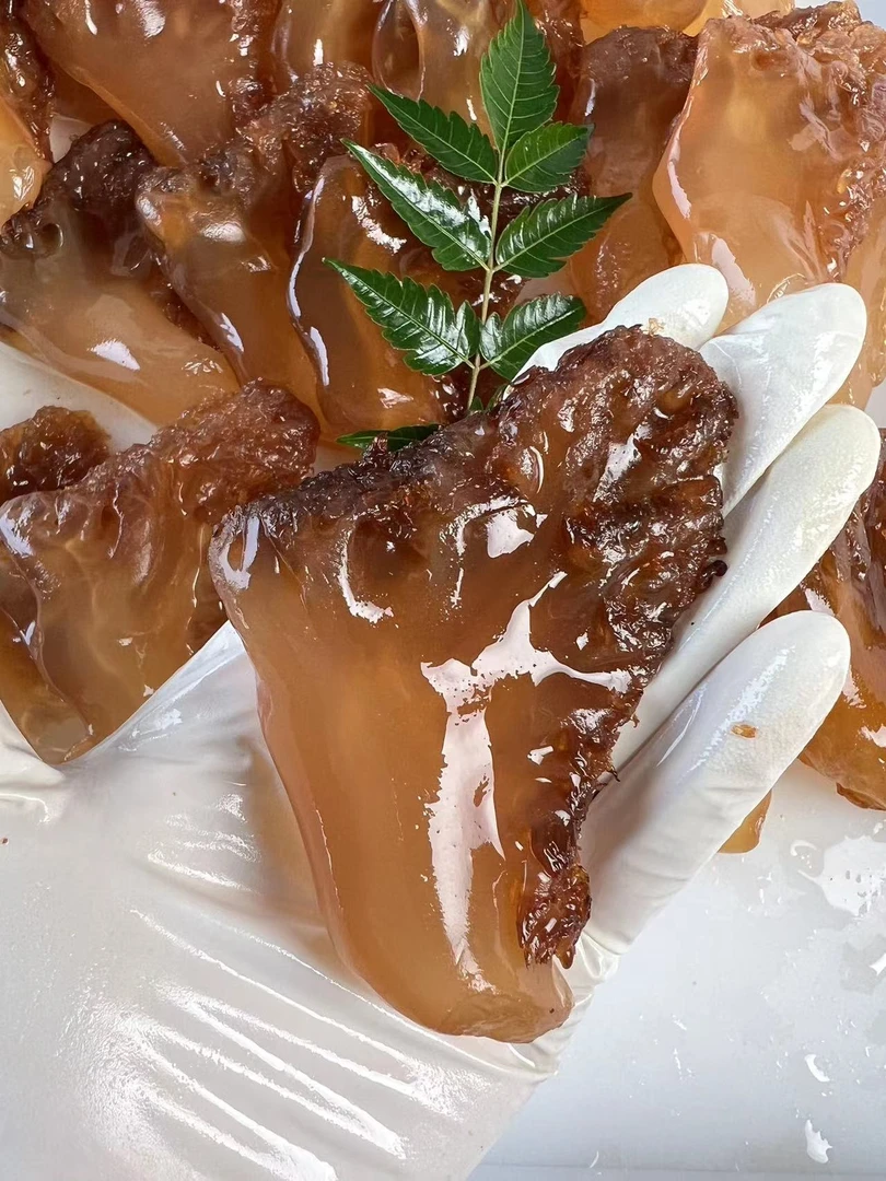 2025新海蜇头 天然海捕海蜇头 硬脆海蜇头 （中角）海鲜