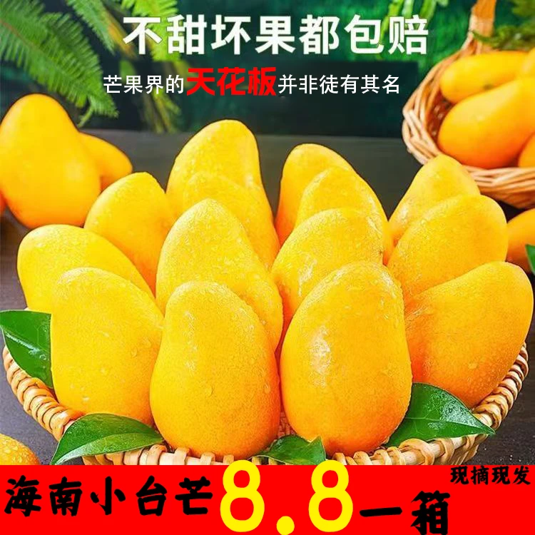 【东北鲜生】新鲜采摘海南小台芒肉厚芒果中通快递发货香甜鲜嫩爽滑