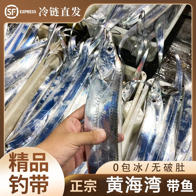 【浪妹专属】野生小眼油钓带鱼5两/条左右整条新鲜净重无冰香煎油炸
