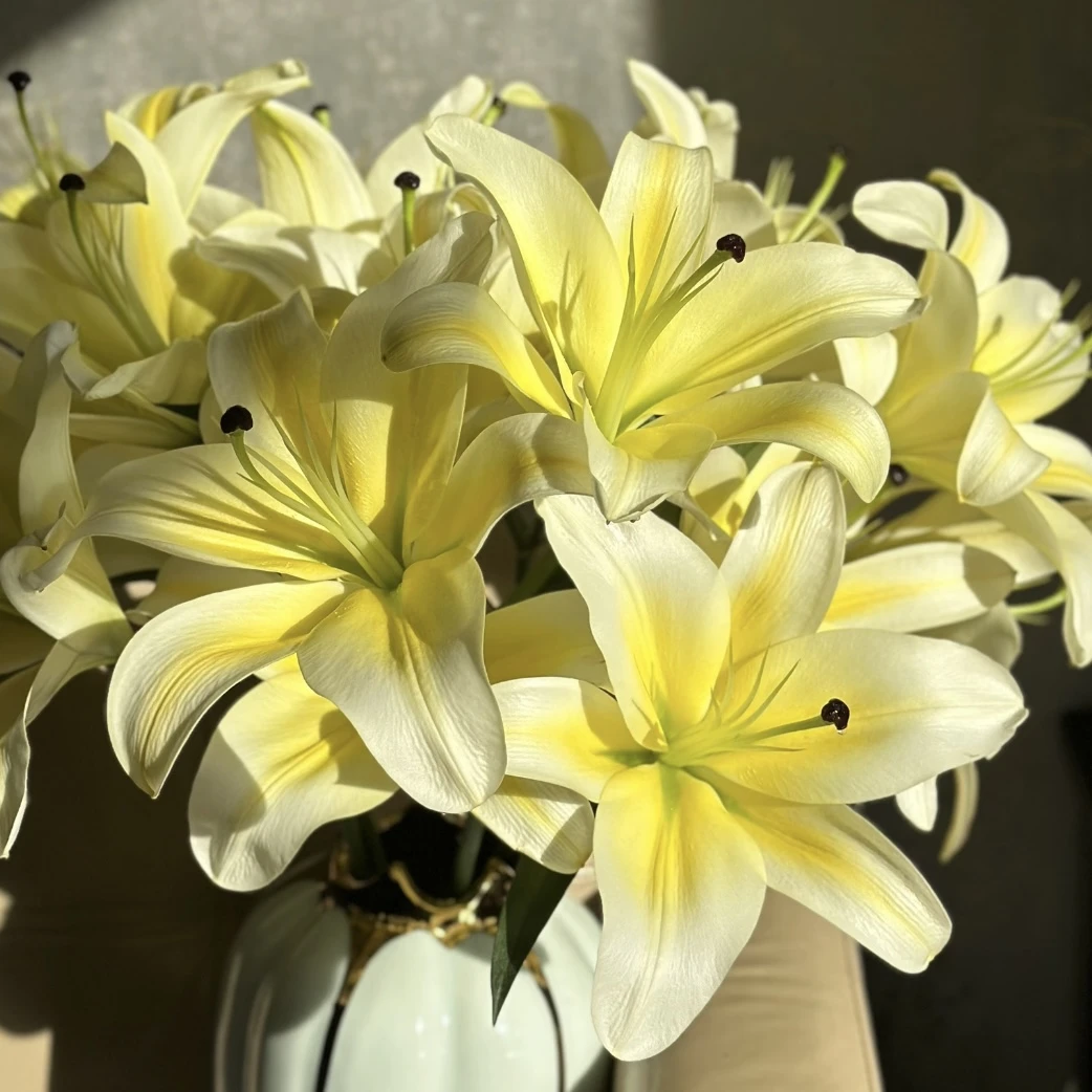 黄天霸 香水百合盆栽带花苞发货室内室外观花植物养护开养美观