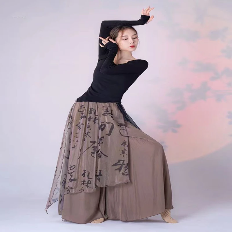 水墨古典舞飘逸裤裙双层现代民族舞蹈表演服装演出服禅意风女装