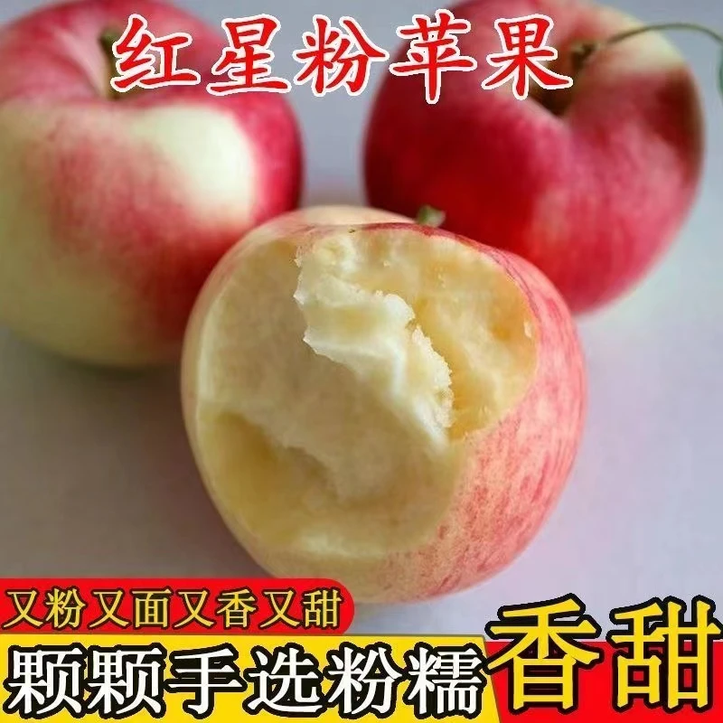 苹果2斤香甜酥脆