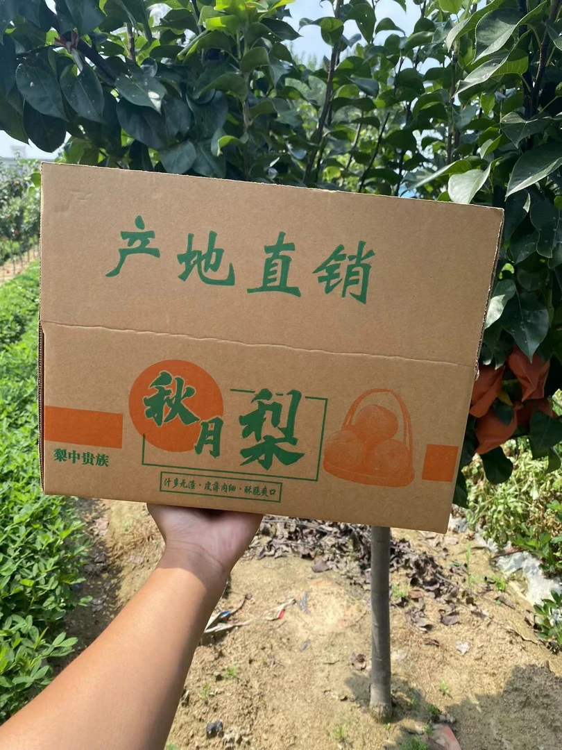 微瑕黑点现摘现发秋月梨自家果园口感脆甜酥脆食用皮薄甘甜发货