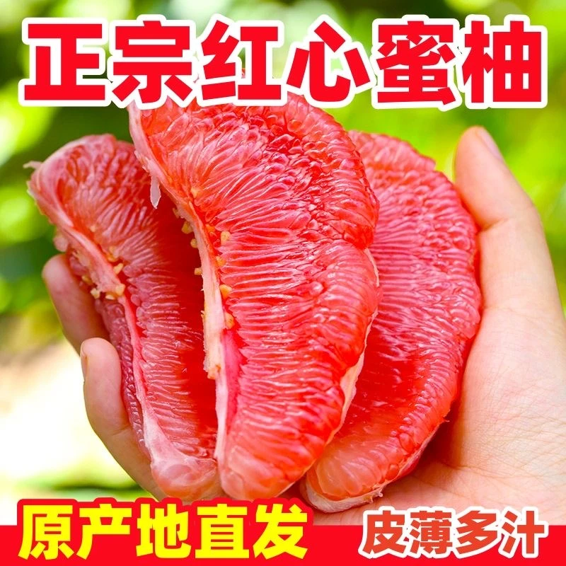 福建平和红心柚子新鲜采摘老树蜜柚