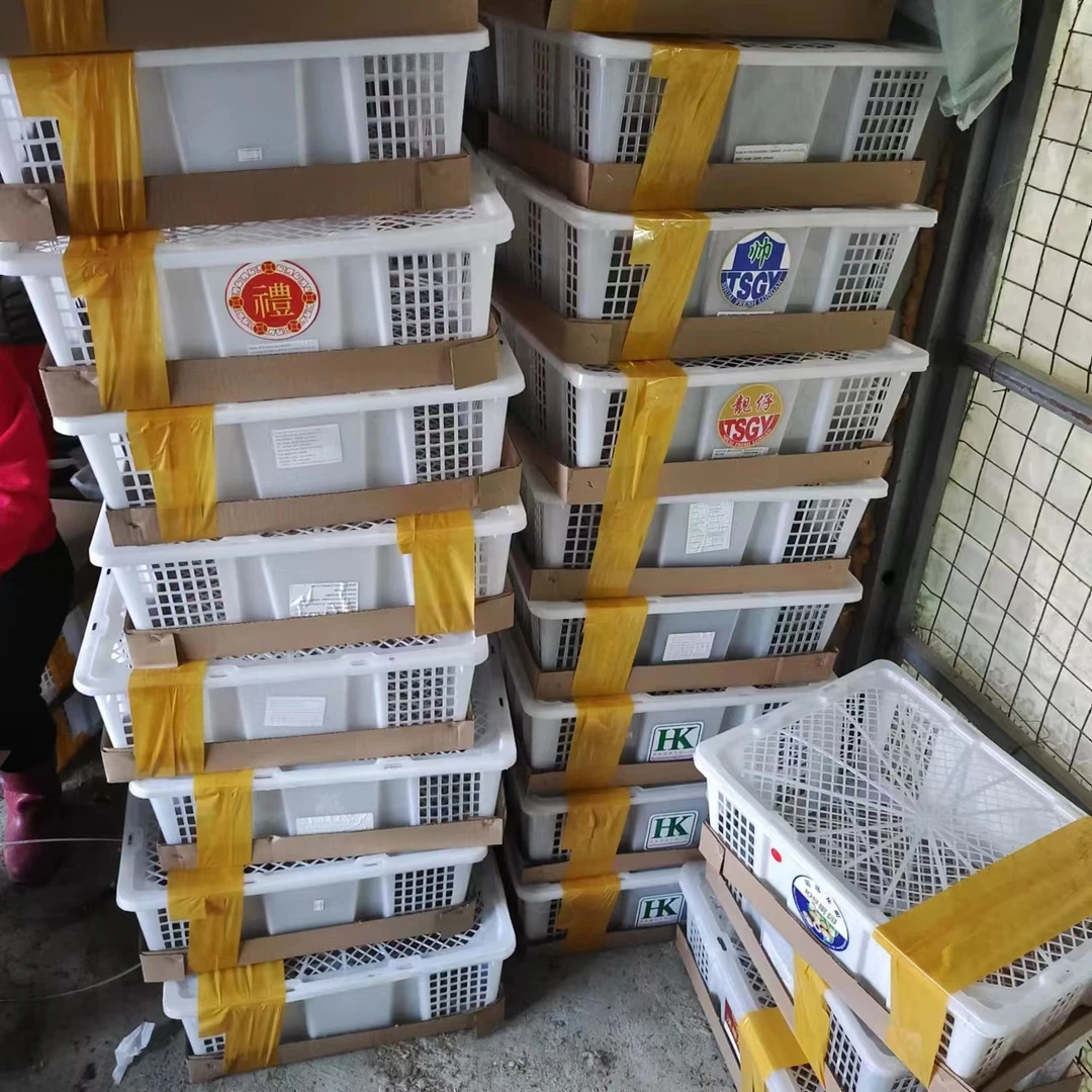 运输笼塑料框农村养殖设备五金用品投料机