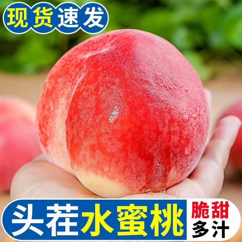 水蜜桃山西运城现摘现发夏日清脆尝鲜水蜜桃新鲜桃子大果4.5斤wn