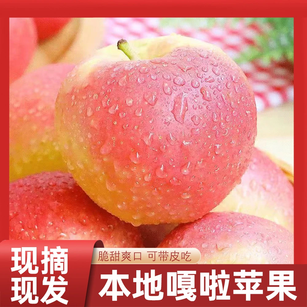 山西嘎啦苹果新鲜现摘头茬脆甜小苹果安徽正宗砀山梨