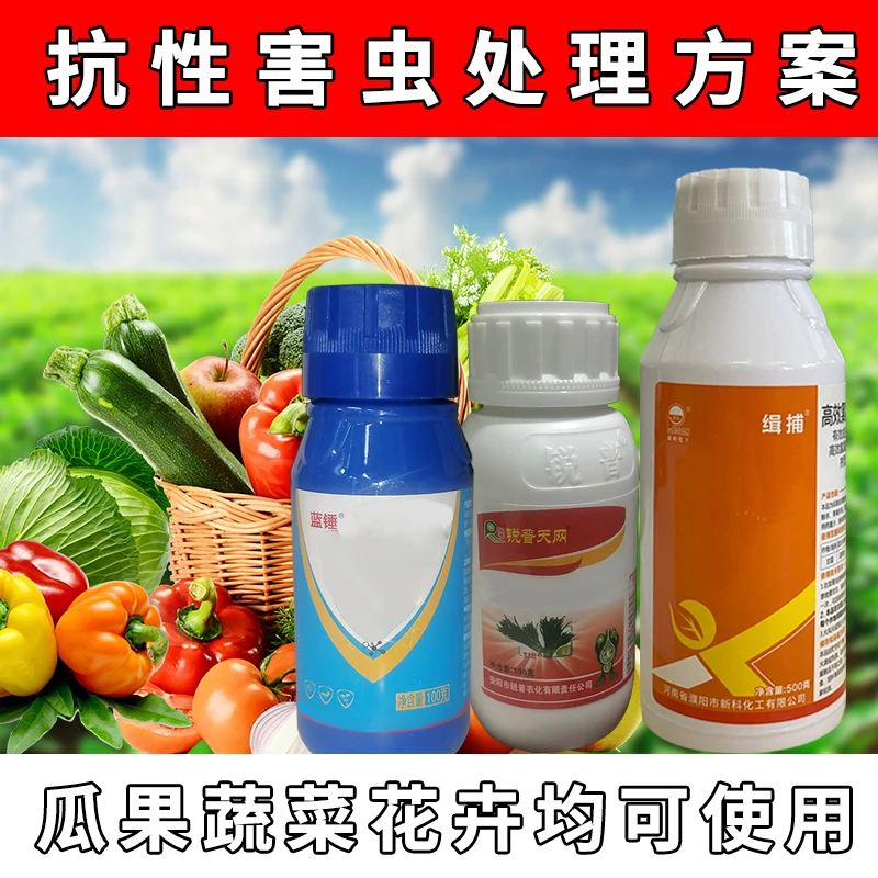 高效抗虫害处理方案书大田蔬菜花卉园林通用叶面肥
