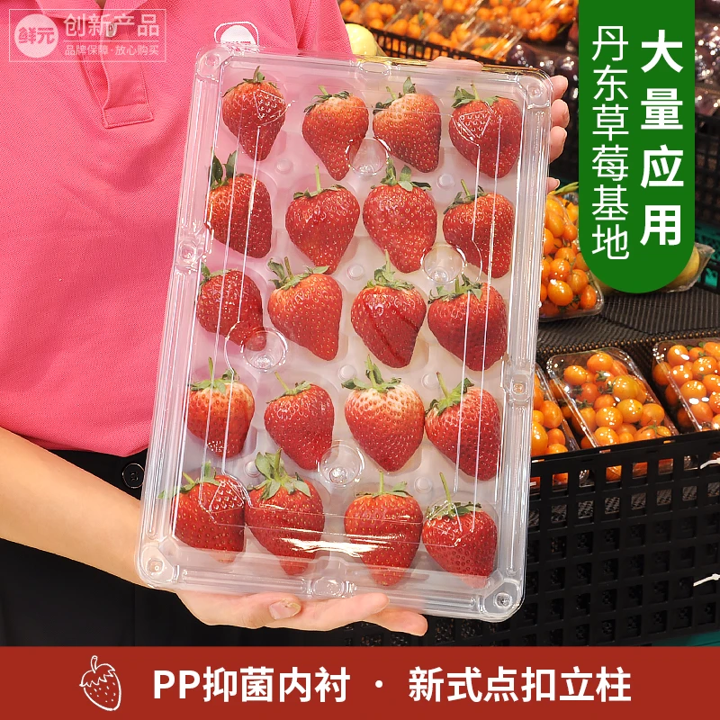 鲜元全新丹东草莓盒环保PP软膜抑菌内衬精品高档包装盒抗压打包盒