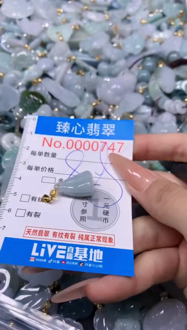 【闪购商品】翡翠颈饰未镶嵌含绳000747