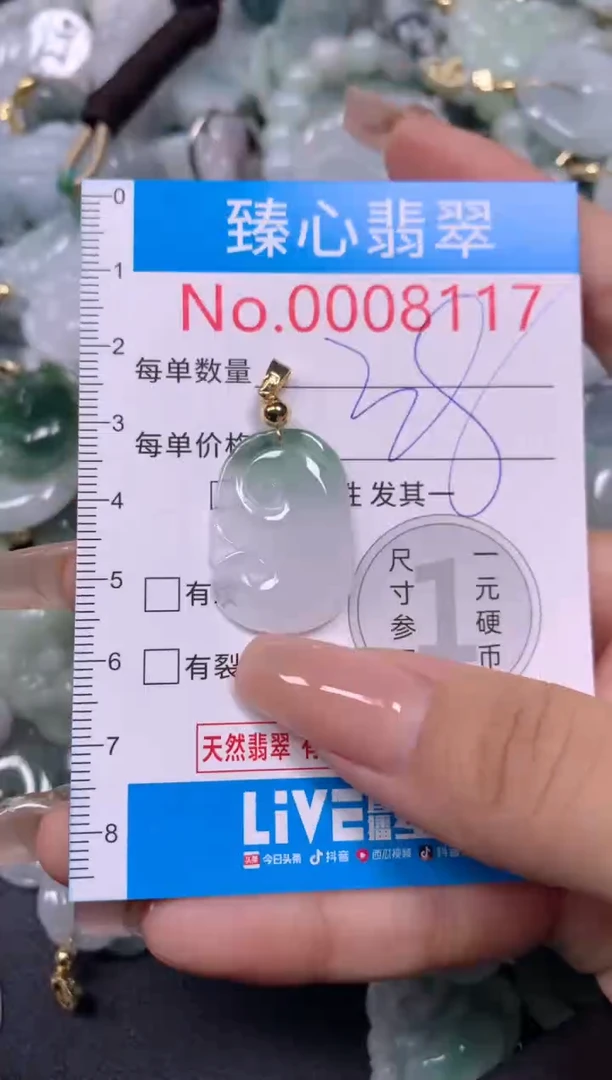 【闪购商品】翡翠颈饰未镶嵌含绳0008117