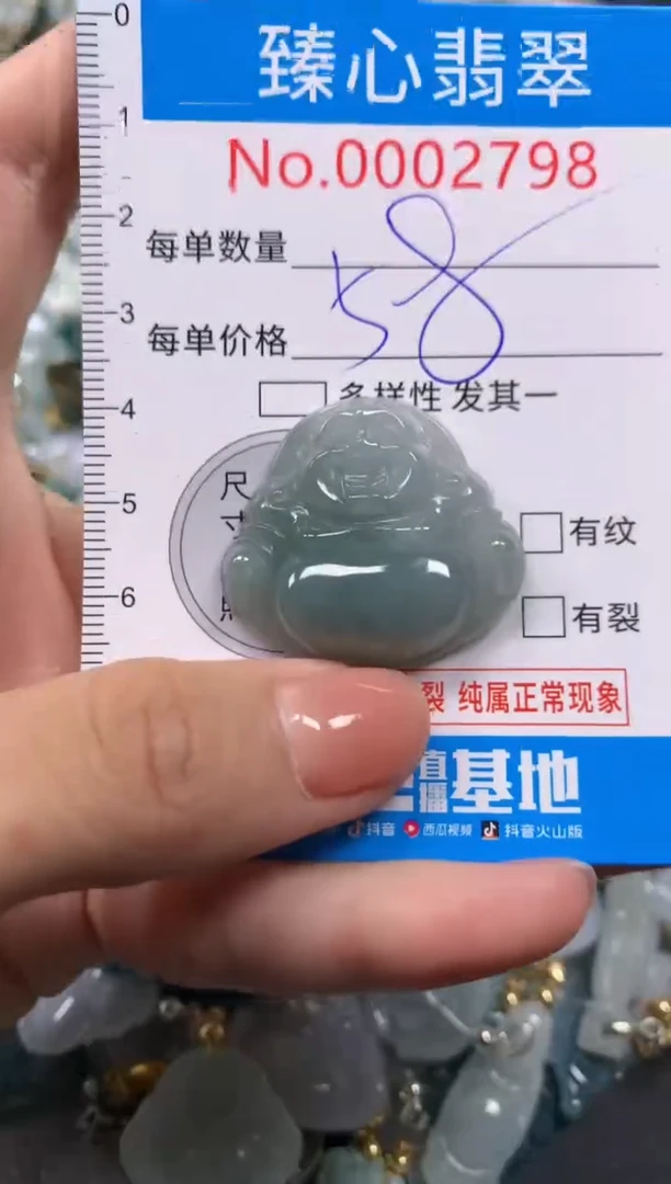 【闪购商品】翡翠颈饰未镶嵌含绳0002798