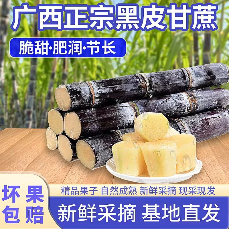 广西黑皮甘蔗新鲜现砍现发脆甜多汁坏果包赔5/9斤包邮