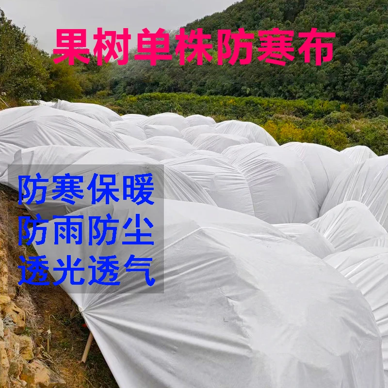 柑橘等果树专用单株防寒套防寒罩保温罩防寒布透气保暖防雨透光