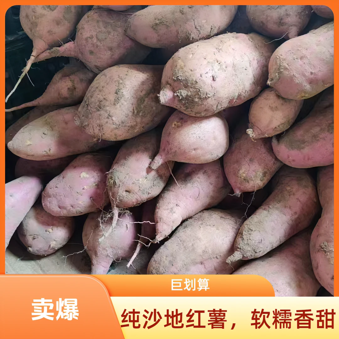 高平特产--山河富硒红薯，软糯香甜，健康美味，家中必备！原生态红薯