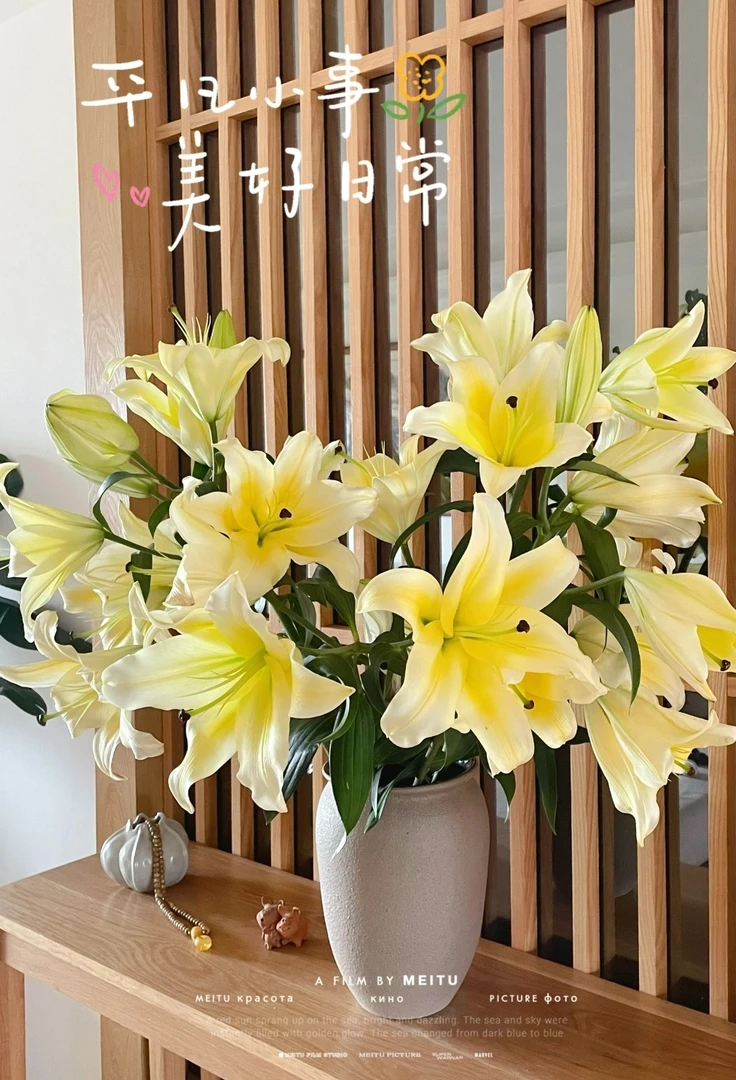 【黄天霸】奶油黄色香水百合黄天霸3枝|全场花材任意两单升级顺丰