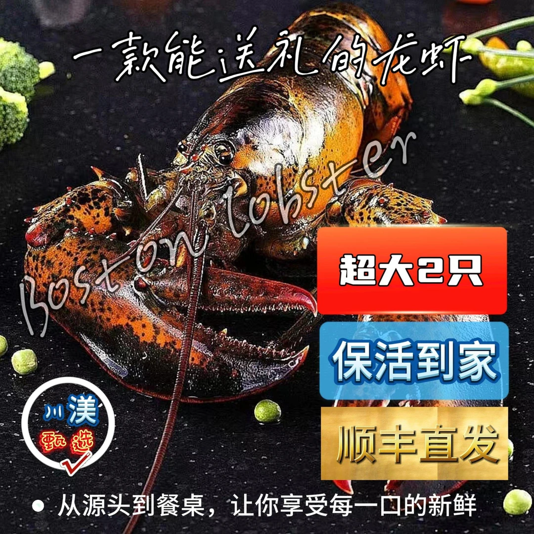 (鲜活)波士顿大龙虾/进口新鲜海鲜/肉质饱满Q弹