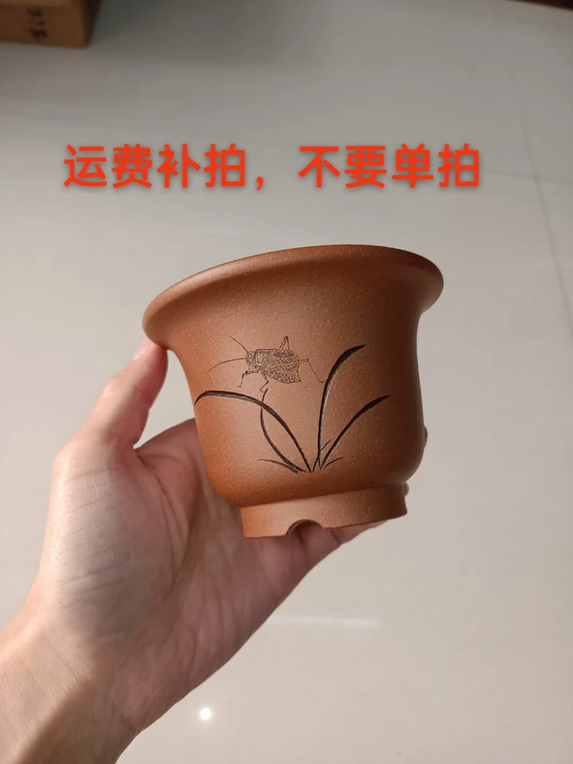 小金钟兰花盆降坡泥