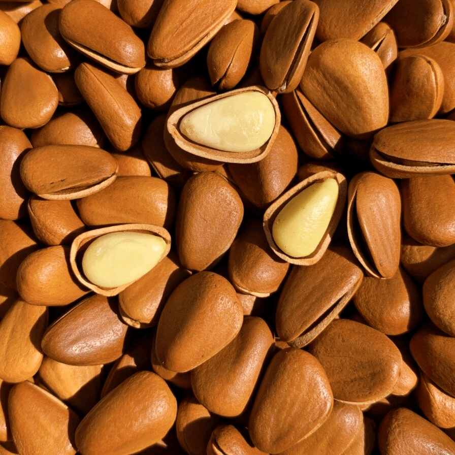 【净重新货】特级东北开口松籽散装大颗粒500g原味红松子孕妇袋装