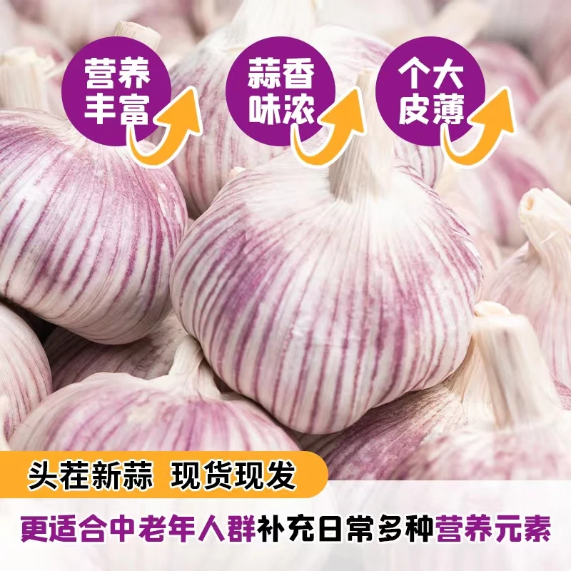 金乡紫皮大蒜可吃可做种子新蒜干蒜调味3斤装大果单直果径5.5-6CM