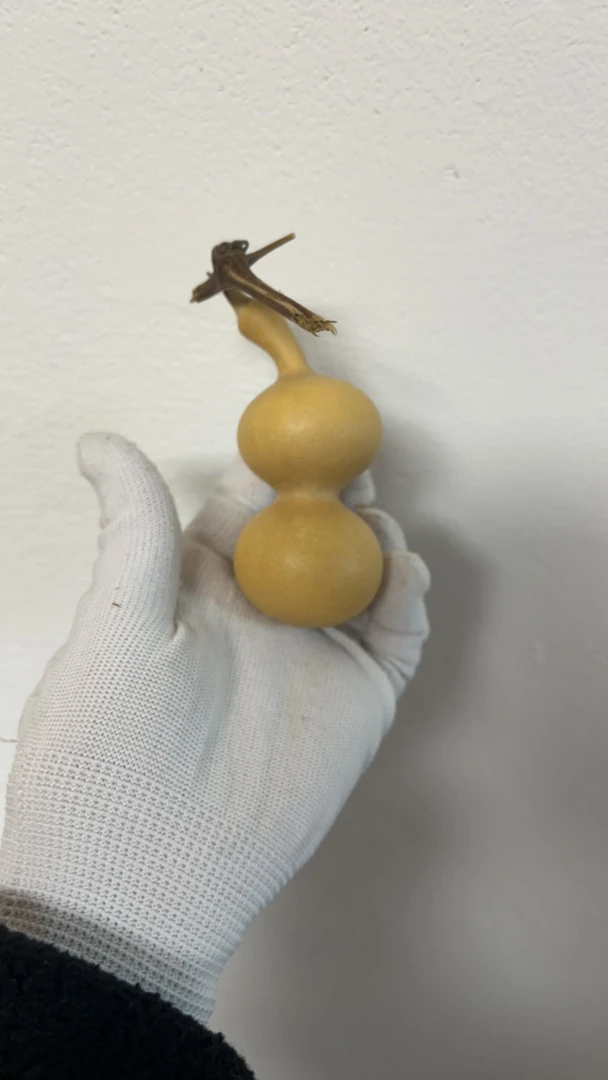 把玩精品小葫芦，买葫芦送青皮，直播间看实物下单哦把玩