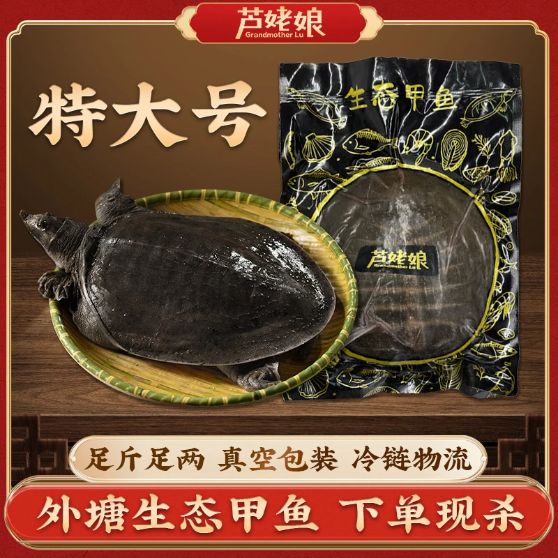 正宗外塘去油脂甲鱼新鲜真空包装营养煲汤XL
