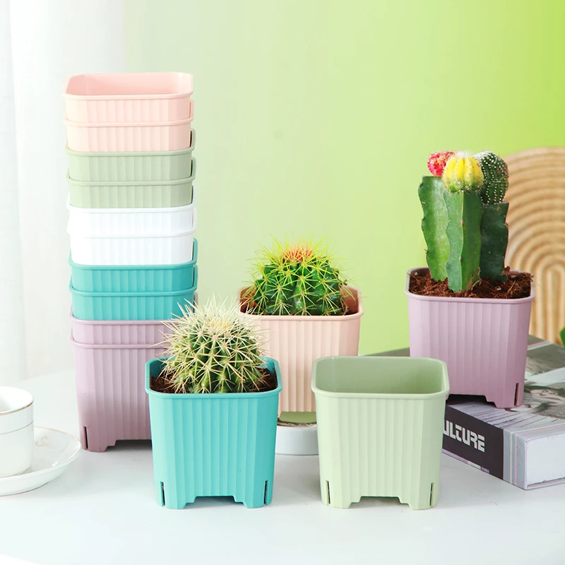 多肉花盆套餐组合 肉肉花盆创意个性可爱塑料大口径小花盆简约