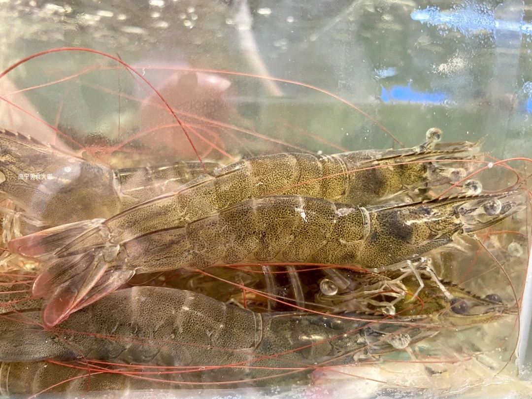 基围虾  活蹦乱跳 1斤