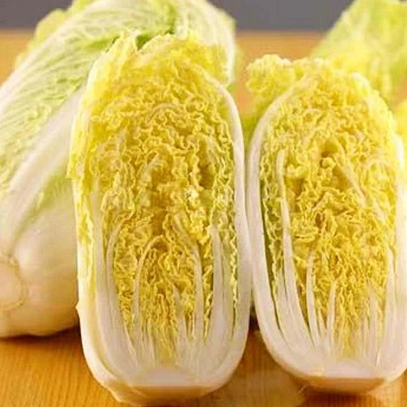 四季金娃娃菜种子黄心娃娃菜种籽鸡蛋黄品质佳口味好秋季蔬菜种子