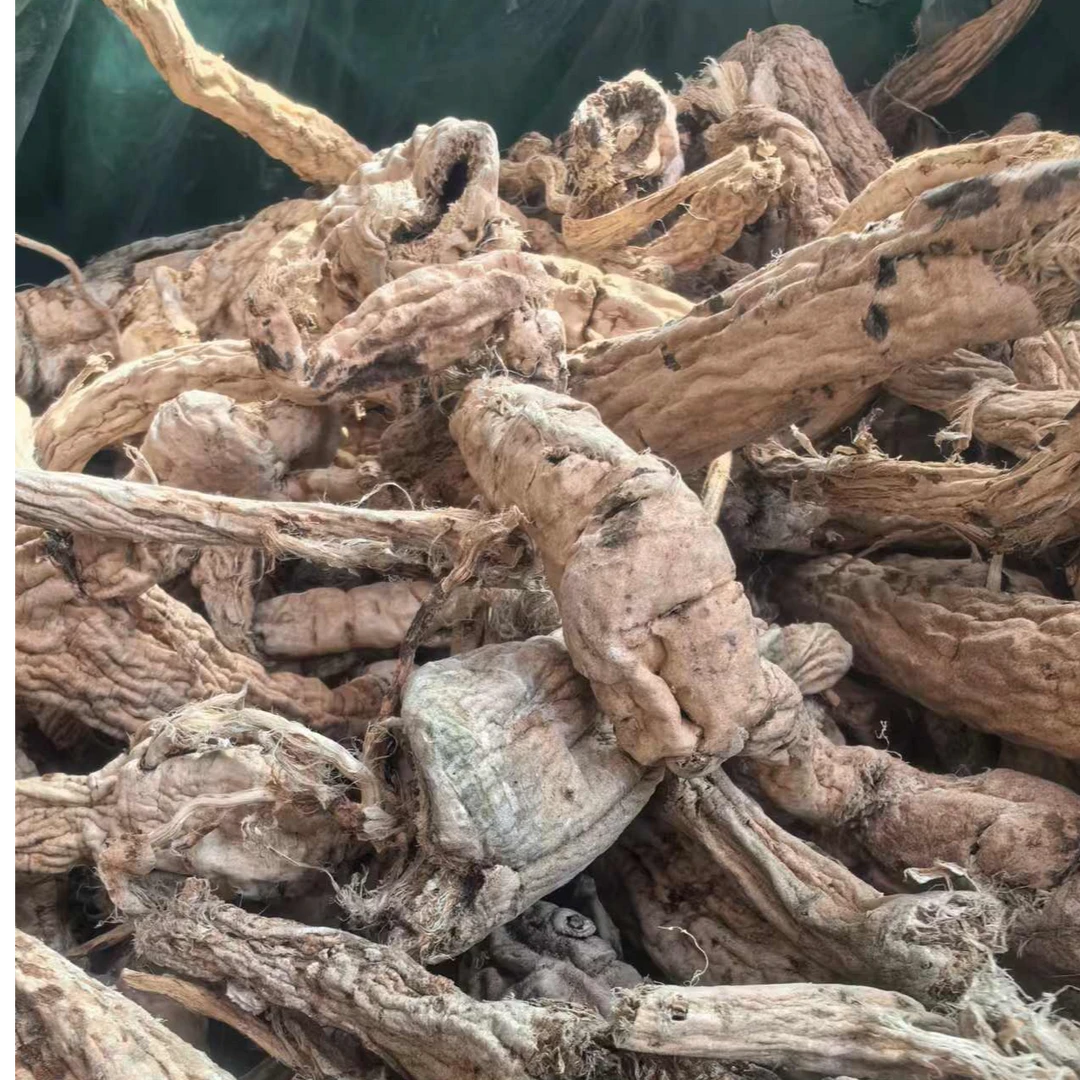 【阿海精选】土特产五指山参