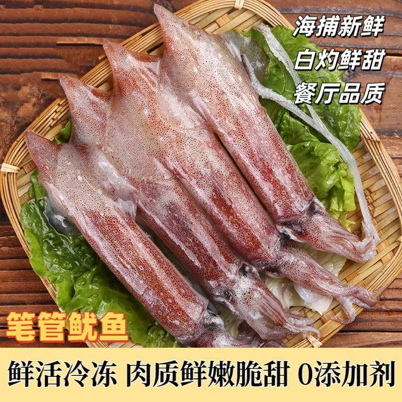 【2盒鱿鱼】新鲜产品400g/盒*2盒鲜活冻笔管鱿鱼白灼脆速冻