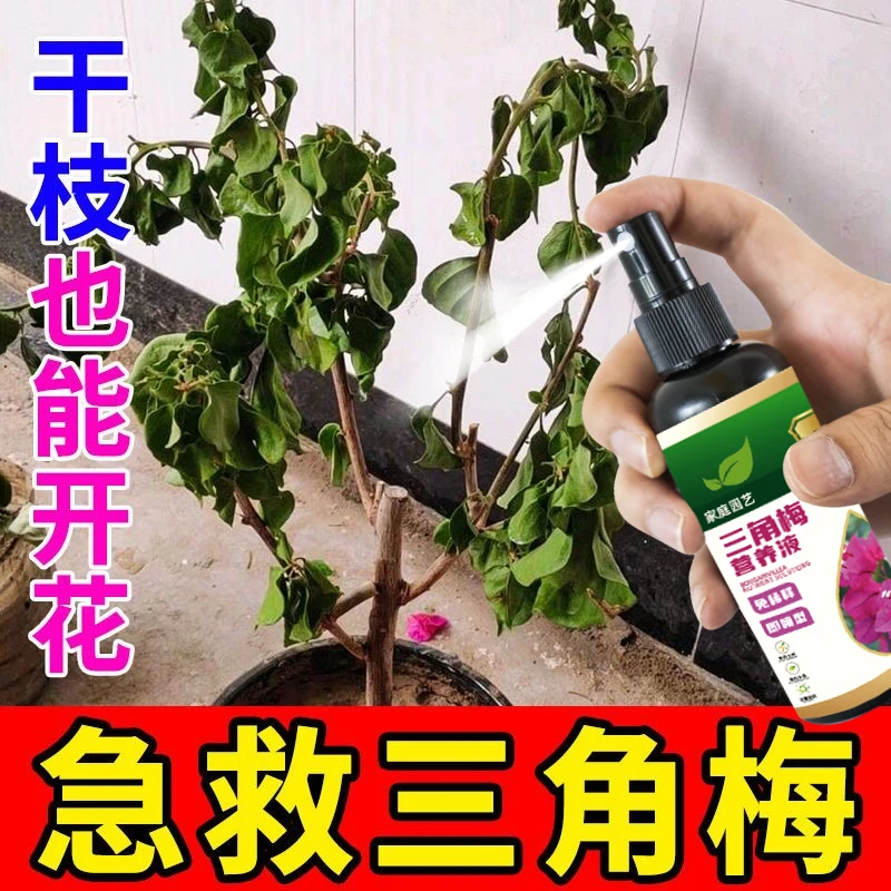 【急救】三角梅专用营养液专治黄叶落叶枯萎不开花生根壮苗免稀释