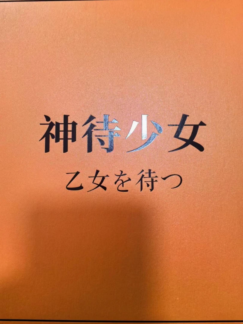 神待少女    收藏卡牌（代拆）